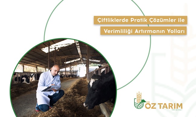 Çiftliklerde Pratik Çözümler ile Verimliliği Artırmanın Yolları