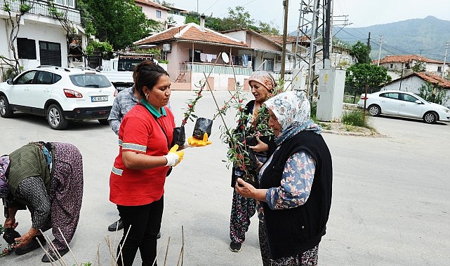 Karşıyaka Belediyesi’nden Sancaklı’da fidan dayanışması
