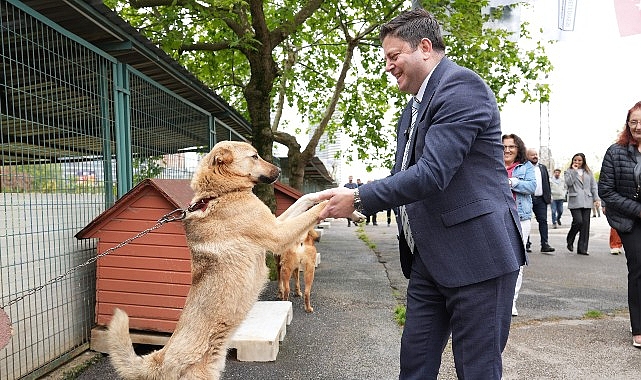 Kadıköy Belediyesi Geçici Hayvan Bakımevi Yenilendi