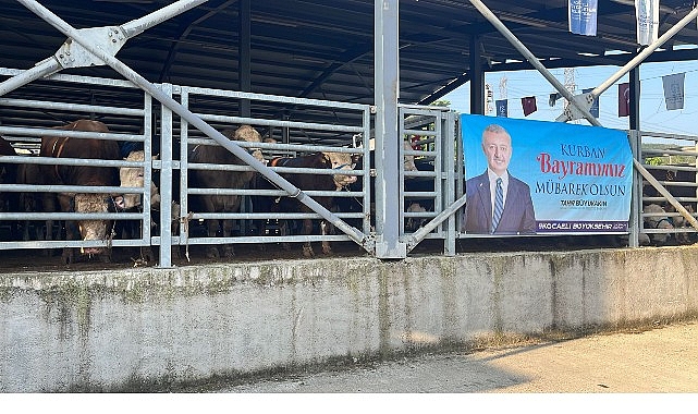 Büyükşehir’in modern mezbahasında kurbanlar kesiliyor