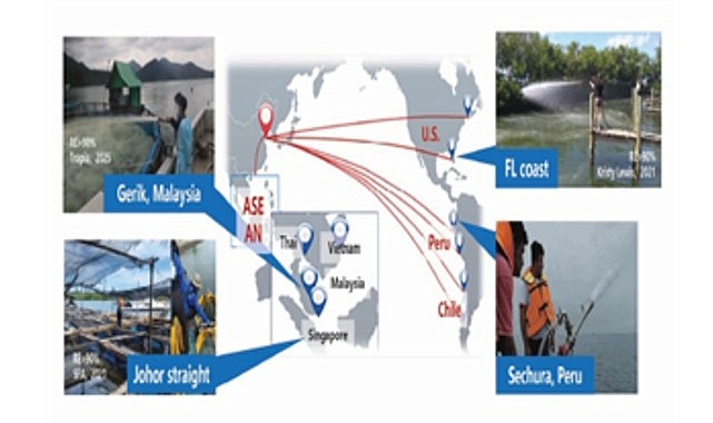 Çinli bilim insanı Dr. Yuan’dan İzmir Körfezi için önemli mesajlar: “Körfez modifiye kil yöntemiyle nefes alacak”