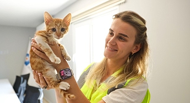 Büyükşehir ekipleri sazlıkların arasına düşen yavru kediye can oldu