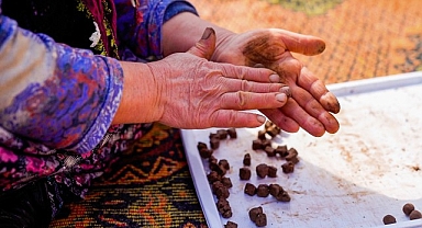 İnci GS Yuasa Akü’den doğaya 100.000 tohumluk katkı!