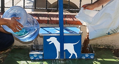 Yazın Sıcak Günlerinde Küçükçekmece Belediyesi’nden Sokak Hayvanlarına Can Suyu Çağrısı