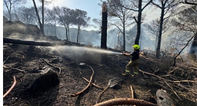 İzmir İtfaiyesi Bergama’da alevlerle mücadele ediyor