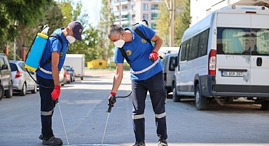 Buca’da ilaçlama atağı