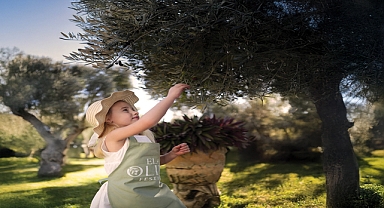 Ela Excellence Resort Belek’te Zeytin Ağaçlarının Gölgesinde Unutulmaz Bir Yolculuk