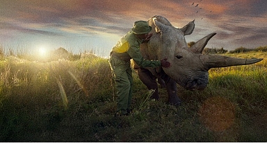 ‘Son Gergedanlar: Yeni Bir Umut’, 21 Eylül Pazar 20.00’de National Geographic Ekranlarında!