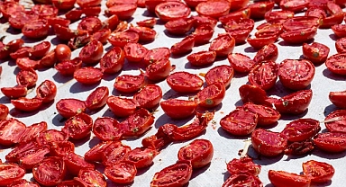 Kuru domates ihracatı 100 milyon doları aştı