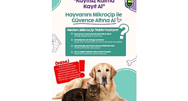 İnegöl Belediyesi’nden Evinde Kedi-Köpek Besleyenlere Mikroçip Uyarısı