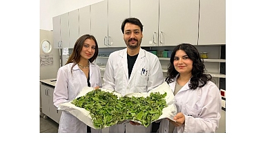 BİLGİ’li öğrenciler antibiyotik direncine karşı yenilikçi ve doğal bir yöntem geliştirdi